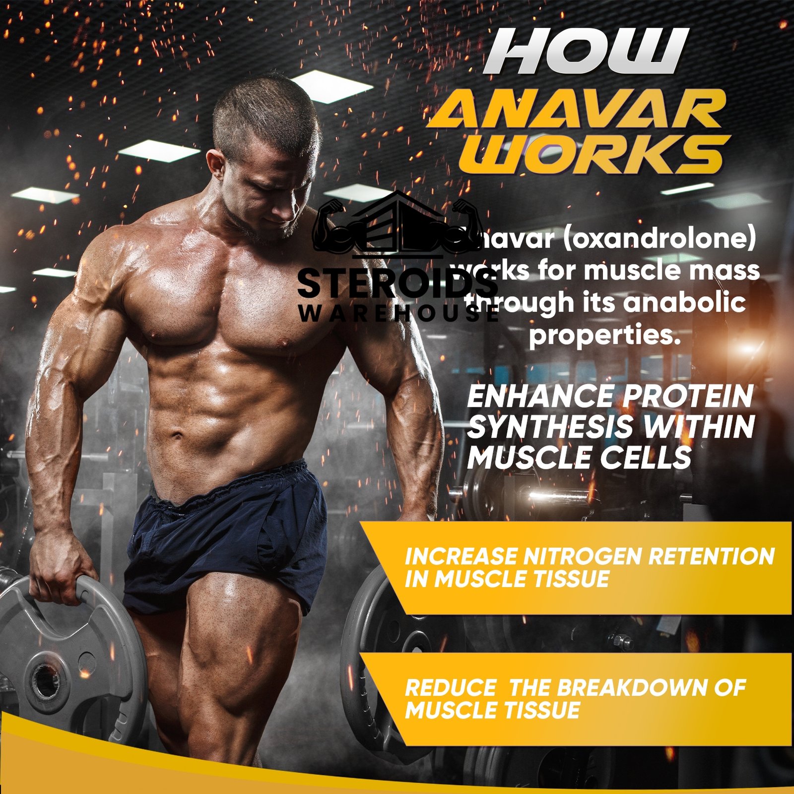 Buy Anavar 50mg - Image 2