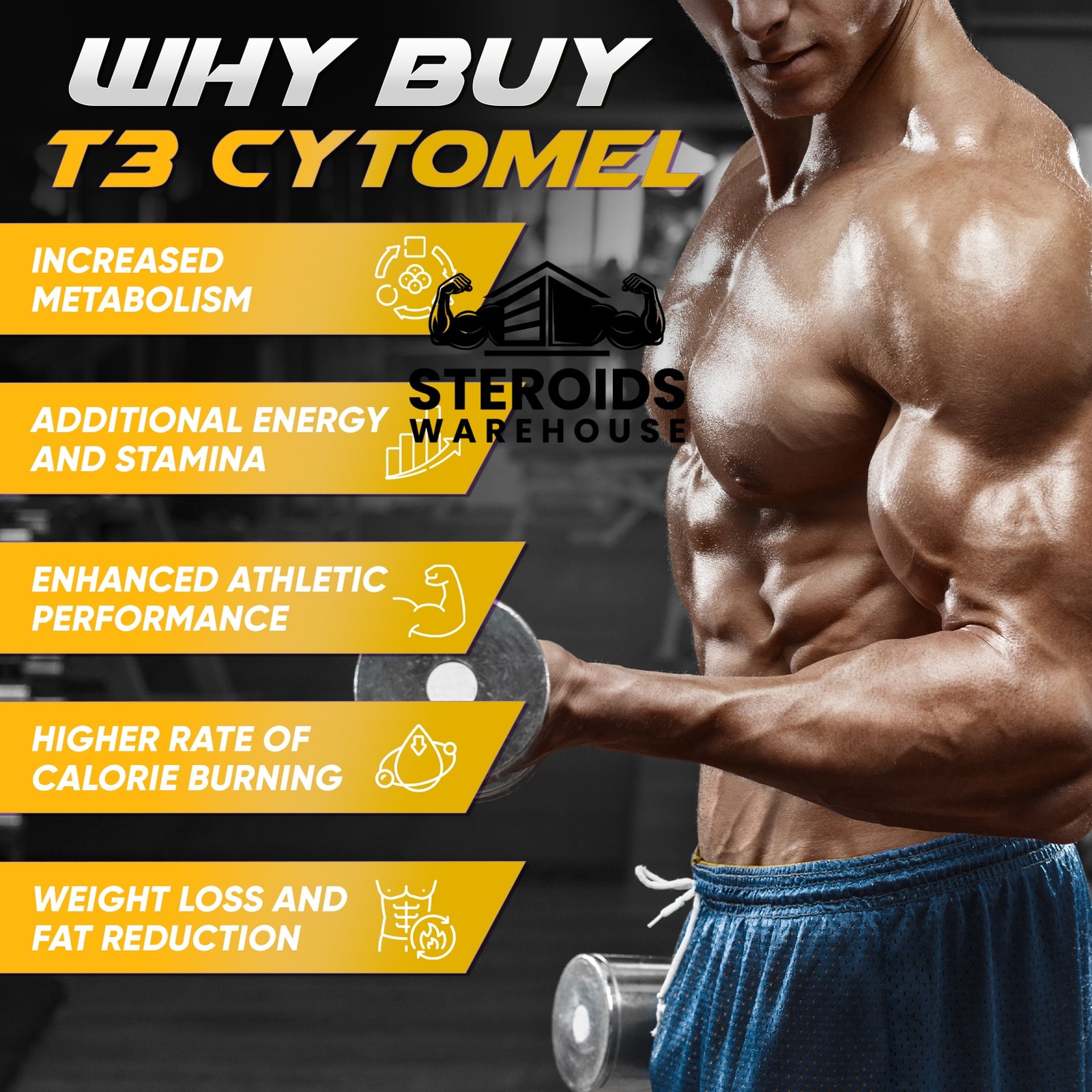 Buy T3 Cytolmel - Image 4