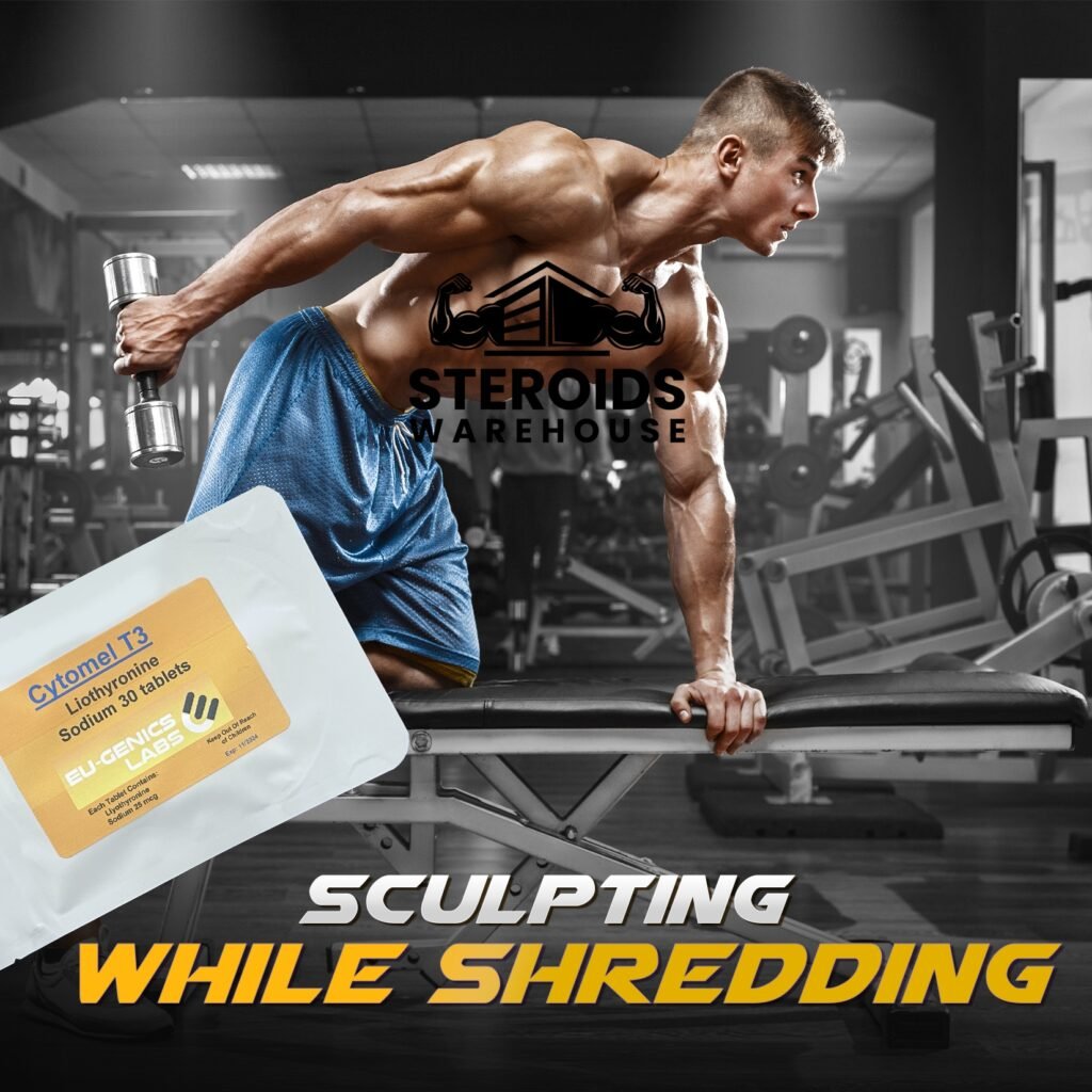 Steroid Half Life